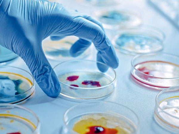 Pharmaceutical Microbiology in Bangladesh